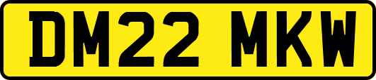 DM22MKW