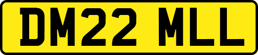 DM22MLL
