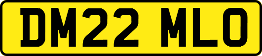 DM22MLO