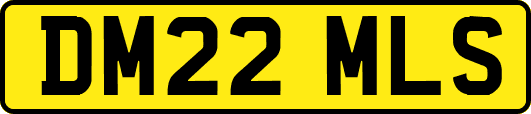 DM22MLS