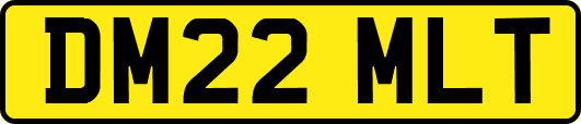 DM22MLT