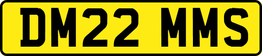 DM22MMS