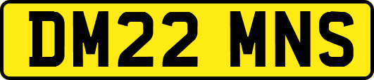 DM22MNS