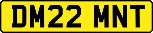 DM22MNT
