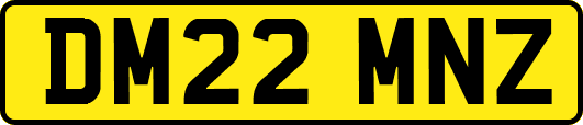 DM22MNZ