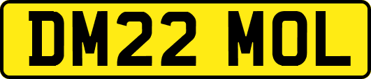 DM22MOL