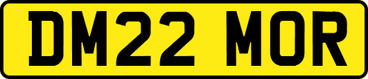 DM22MOR