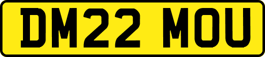 DM22MOU