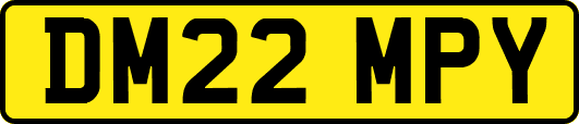 DM22MPY