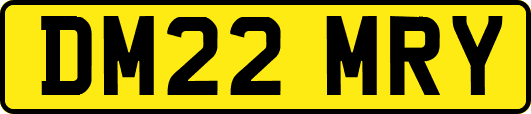 DM22MRY