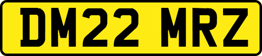 DM22MRZ