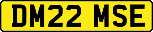 DM22MSE