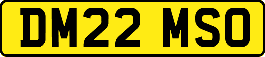DM22MSO