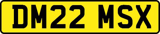 DM22MSX