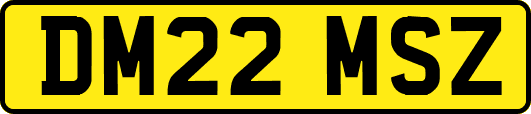 DM22MSZ