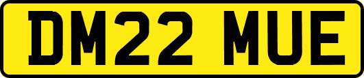DM22MUE