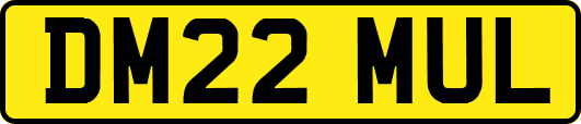 DM22MUL