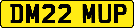 DM22MUP
