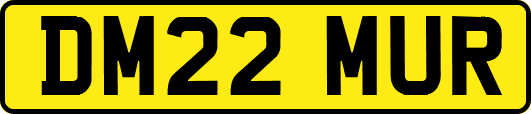 DM22MUR