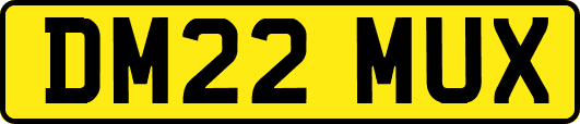 DM22MUX