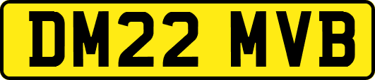 DM22MVB