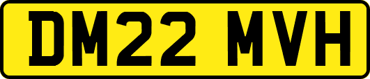 DM22MVH