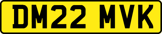 DM22MVK