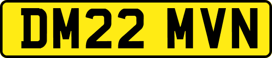 DM22MVN