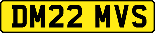 DM22MVS