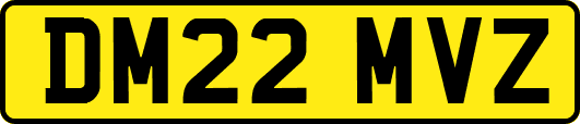DM22MVZ