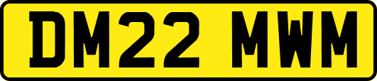 DM22MWM