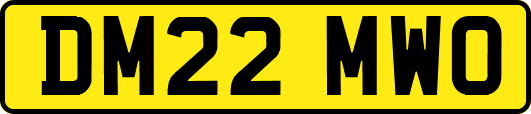 DM22MWO