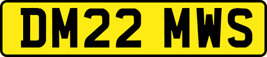 DM22MWS