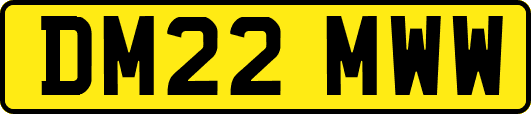 DM22MWW