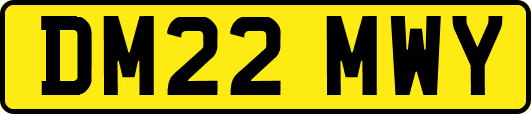 DM22MWY