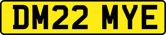 DM22MYE