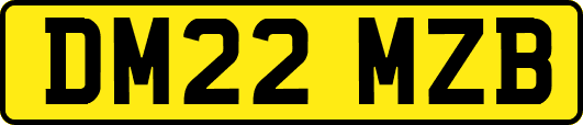 DM22MZB