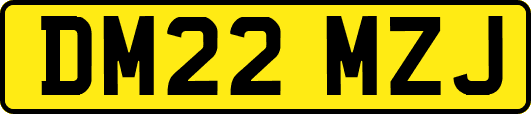 DM22MZJ