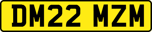 DM22MZM