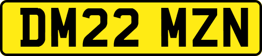 DM22MZN