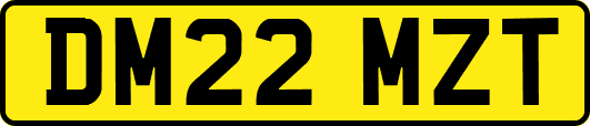 DM22MZT