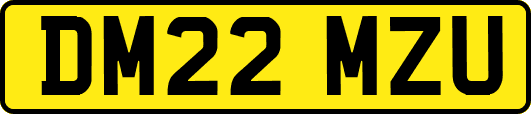 DM22MZU