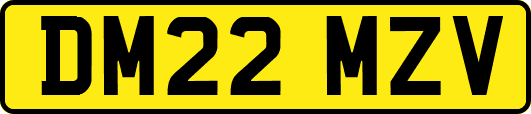 DM22MZV