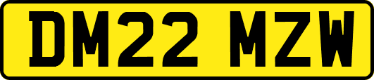 DM22MZW