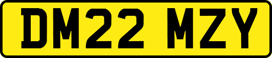 DM22MZY