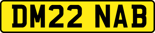 DM22NAB
