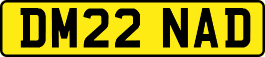 DM22NAD