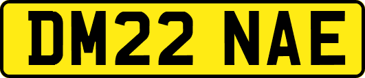 DM22NAE