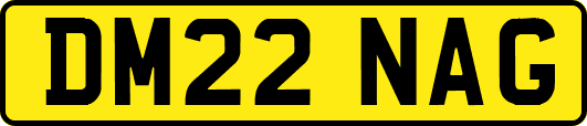 DM22NAG