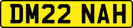 DM22NAH